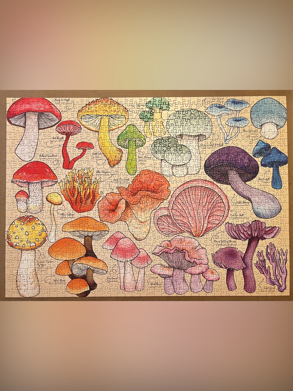 House of Puzzles Mushroom Mania 1000-Piece Jigsaw Puzzle - Multicolor - Picture 3 of 3